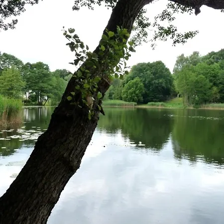 38 M Sommer-blockhaeuschen Im Spreewald *